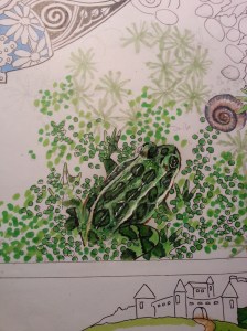 Janet Balboa, Anam Cara detail, marker and colored pencil, 19" x 24" c. 2014