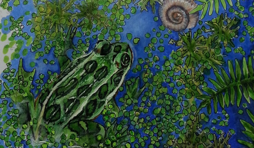 Janet Balboa, Anam Cara detail, marker and colored pencil, 19" x 24" c. 2014